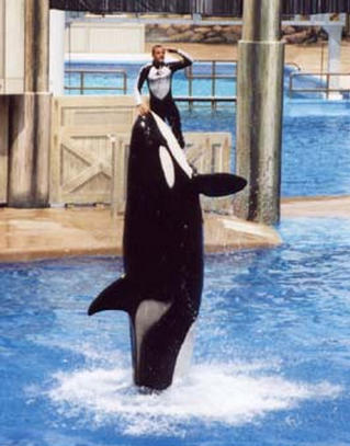 YOU'LL ENJOY DISNEY'S SEA WORLD