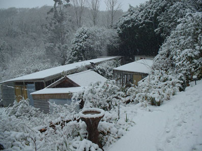 Picture of cattery in snow