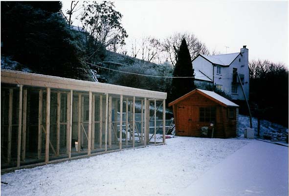 Picture of cattery and first feline guest in snow