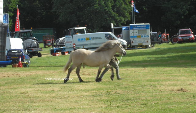 Lochlands Silver Raven, Fettercairn 2010.