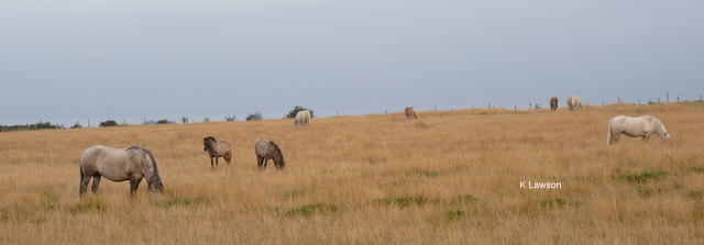 Sept 2010