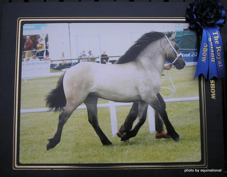 Lochlands Snow Maiden