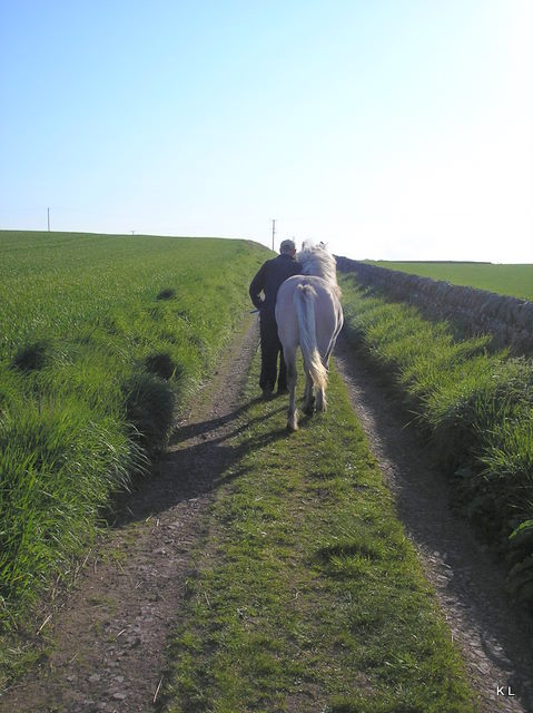 Silver Raven, May 2010