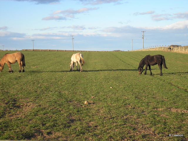 April 2010