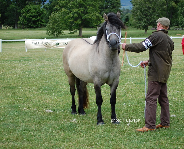 Lochlands Snow Maiden, Breed Show 2010