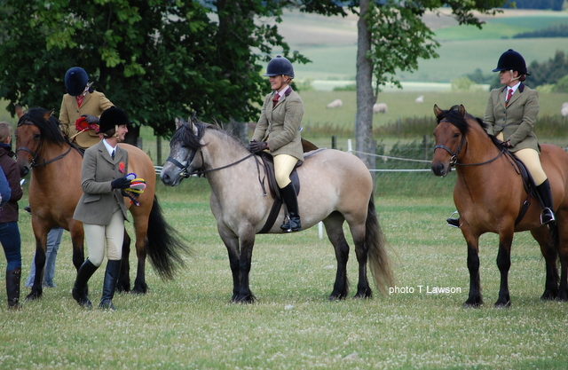 Lochlands Madonna, Breed Show 2010.