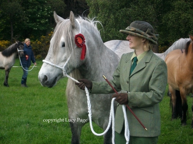 Lochlands Silver Chime, 4yo Mare.