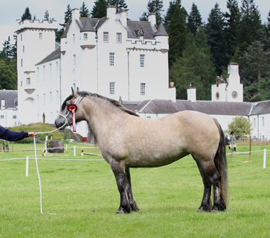 Lochlands Madonna