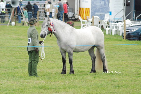 Lochlands Silver Chime, Champion Nairn 2010