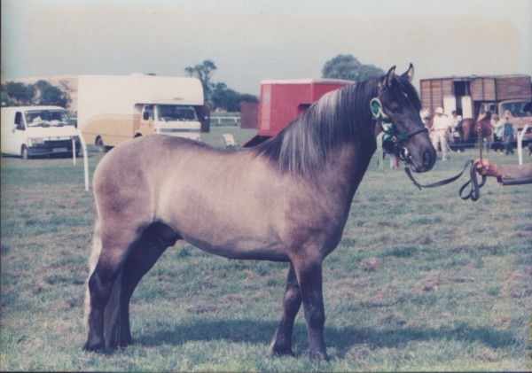 Lochlands Chorister 1993