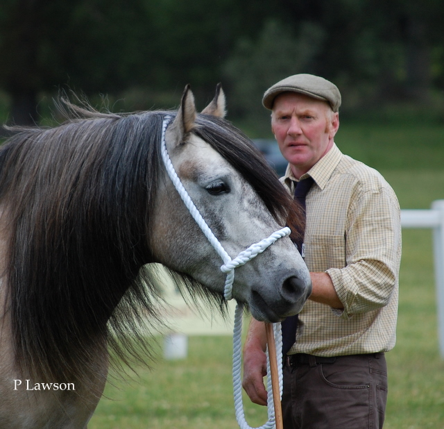 Lochlands Madonna, HPS Breed Show 2011