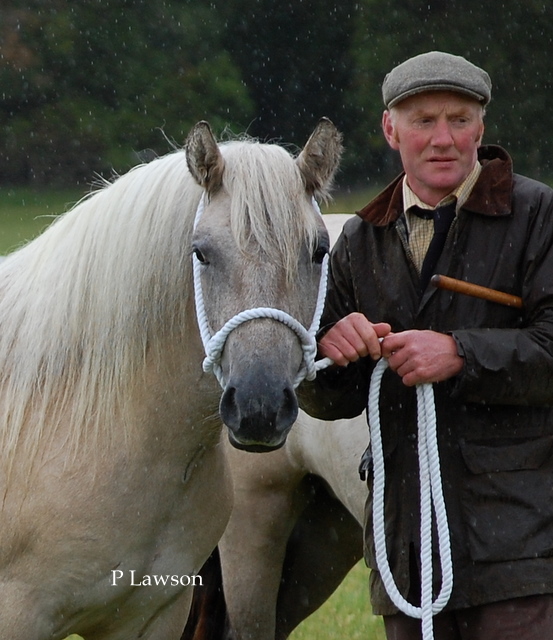 Lochlands Silver Raven, HPS Breed Show 2011
