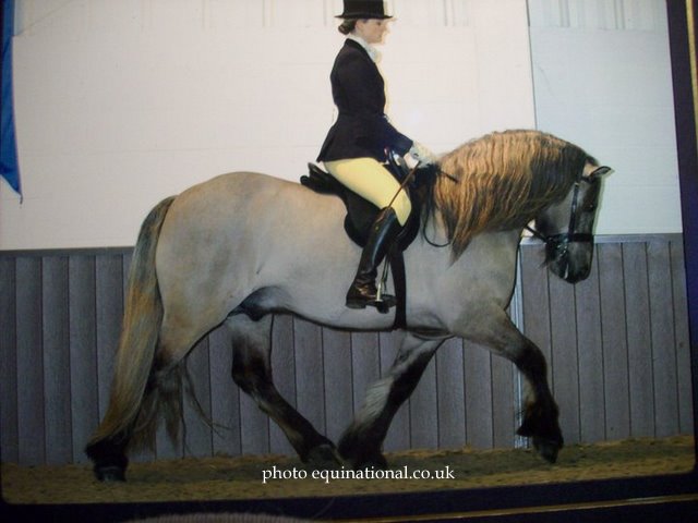 Lochlands Prince Igor, PUK Winter Champs 2011