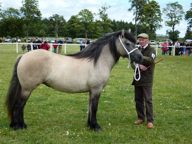 Lochlands Snow Maiden, Breed Show 2010