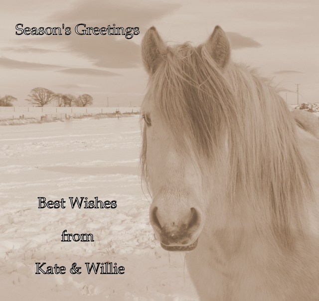Christmas Greetings