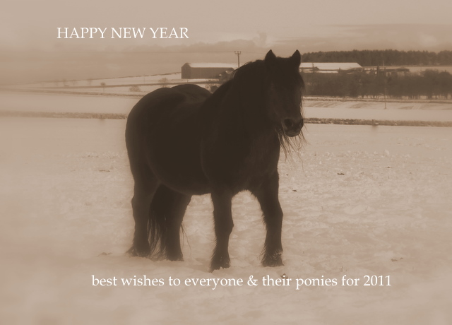 Happy New Year