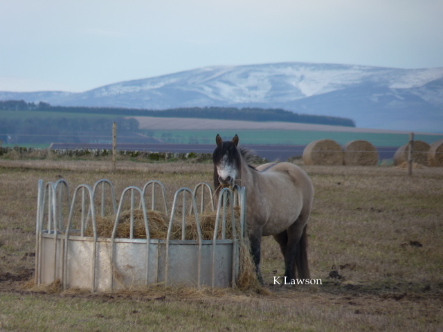 A table for one !