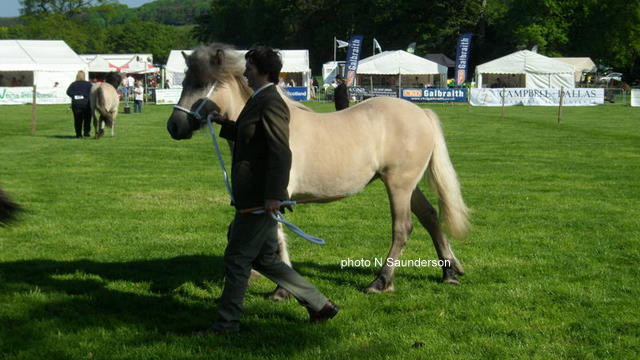 L Silver Raven, Fife 2010