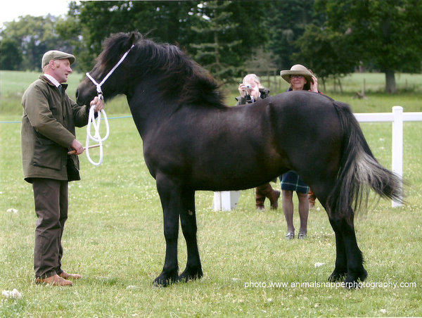Lochlands Mandora, Breed Show 2010