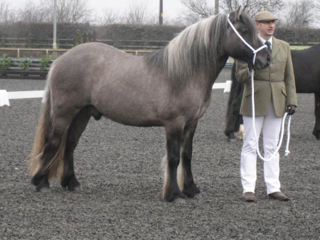 Lochlands Treble Flute , February 2010