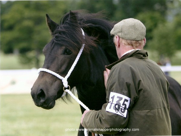 Lochlands Mandora, Breed Show 2010