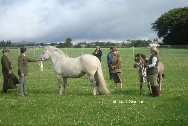 Lochlands Madasun, Kirrie 2010