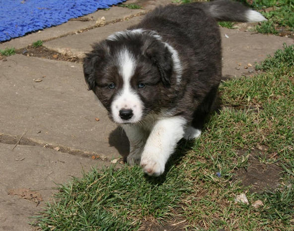 Marmite boy @ 5 1/2 weeks