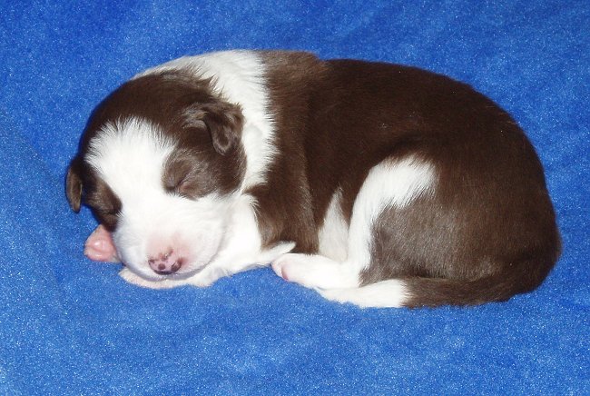 Harvey @ 12 days.