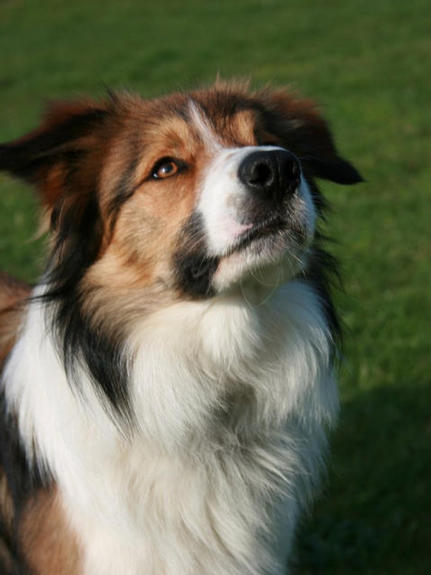 Bryn 11 months