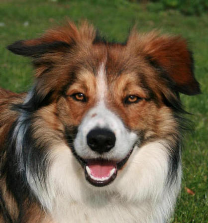 Bryn 11 months old. A smiley, happy boy.