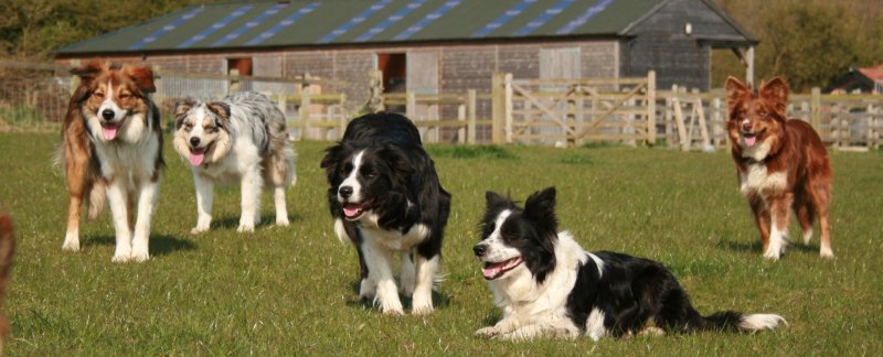 Enjoying the spring sunshine.