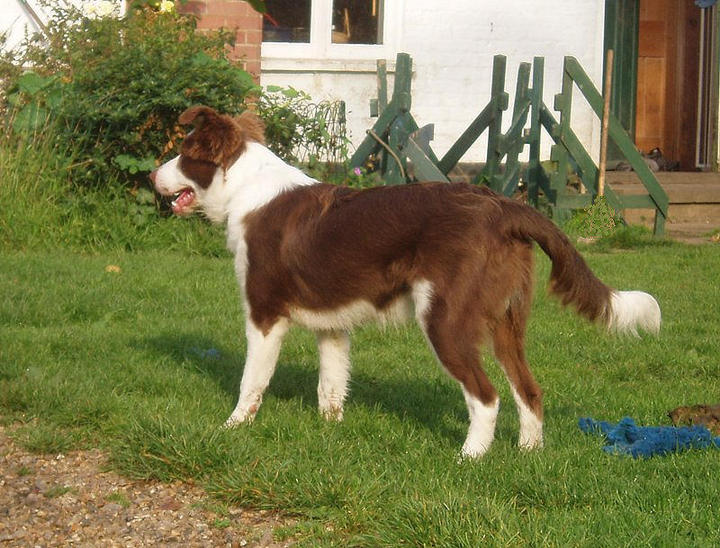 Harvey free stand 5 months