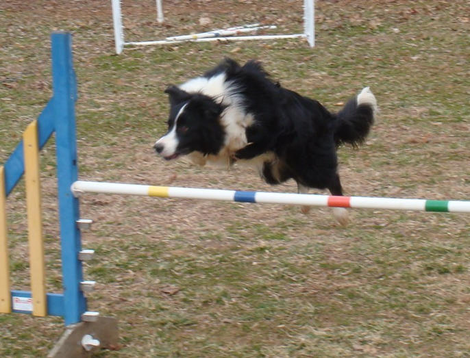 Rosmarinus Rum Sprinter. (Turbo)