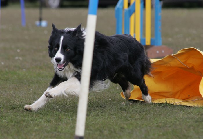Whizz