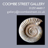 coombe street gallery