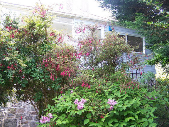 The Entrance Pathway