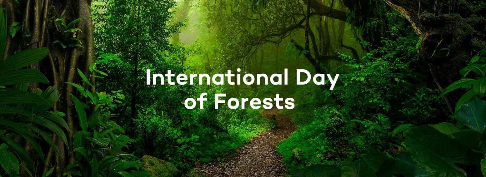  International Day of Forests