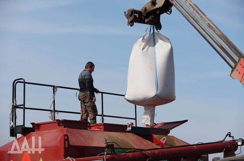 The quality of spring seeds  in the DPR was 100%