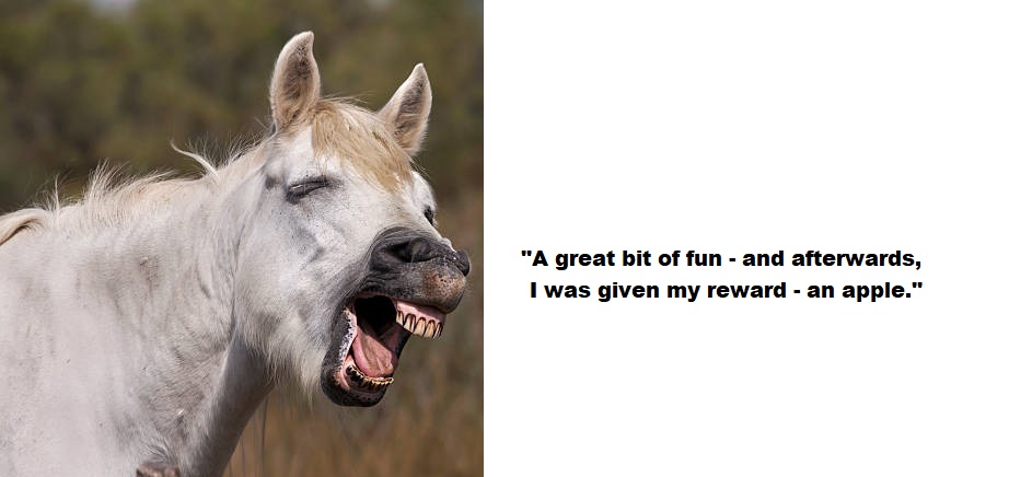 Bo Aung Kyaw Day, Glyn