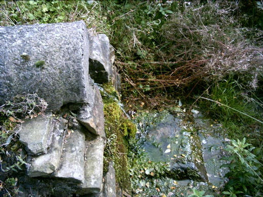 The Spring at the bottom of the little church, Penrhys, Rhondda