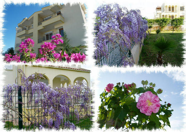 The Gardens of Rose Garden Villas
