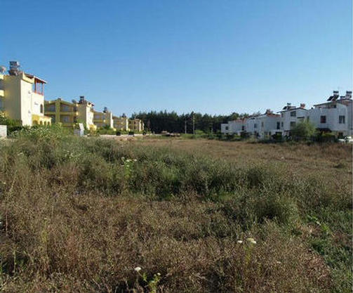 Plot No. 1