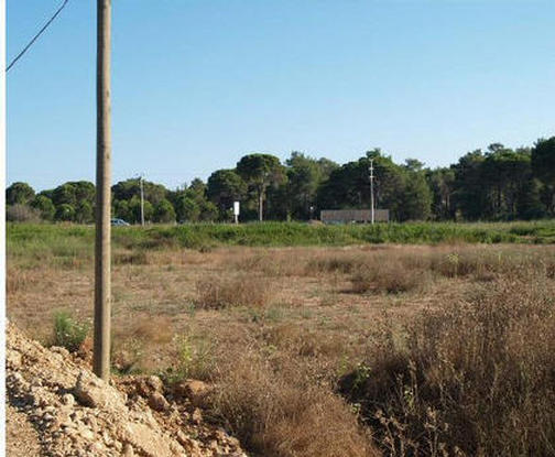 Plot No. 2