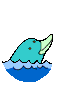 Dolphin