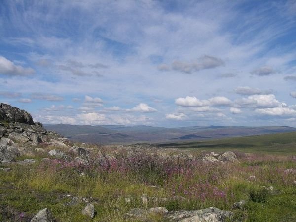Finger Mountain in July, Dalton Highway
