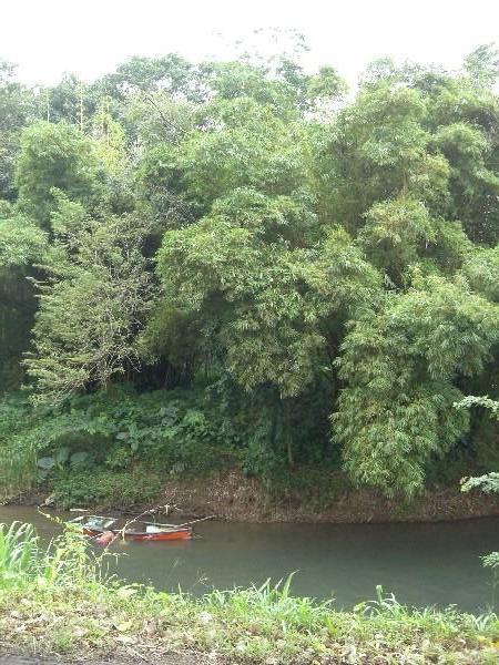 River Zapote near Upala, Costa Rica