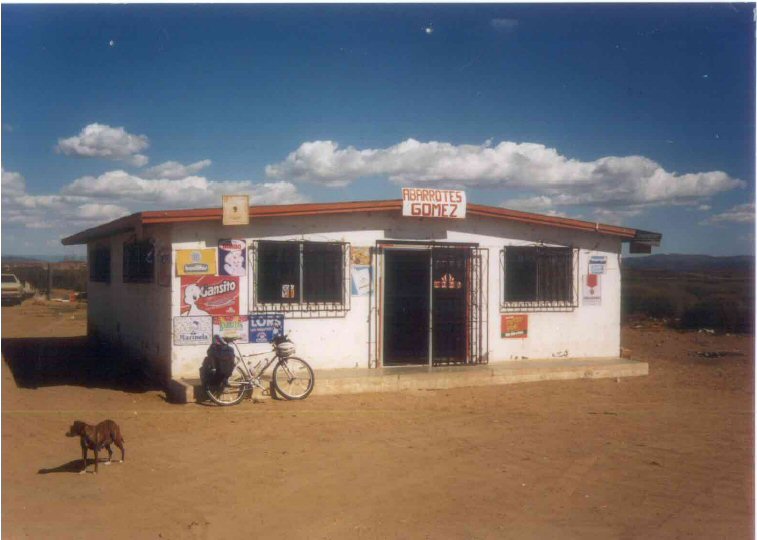 Shop, bike and tappy lappy dog, Baja California, Mexico