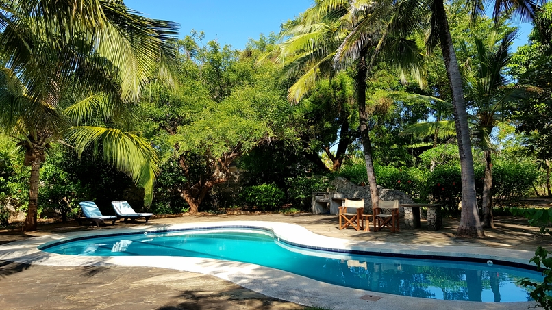 Landscaped Swimming Pool
