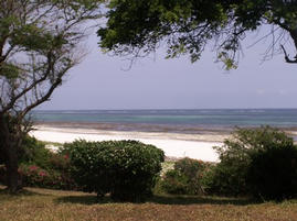 At low tide the coral reef is a perfect place to snorkle