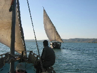 Dhows sailing on Kilifi Creek
